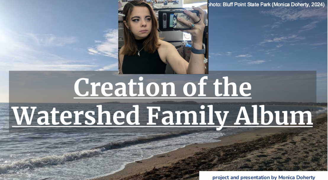 report cover